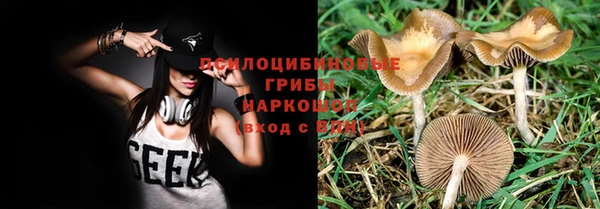 прущая мука Белокуриха