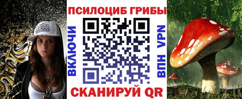Псилоцибиновые грибы MAGIC MUSHROOMS  darknet Telegram  Яблоновский 